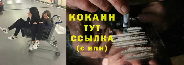 jwh Щигры