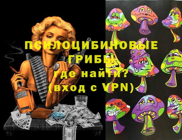 apvp Шали