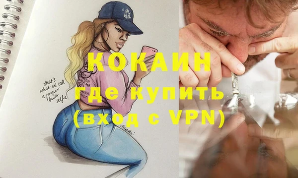 apvp Шали