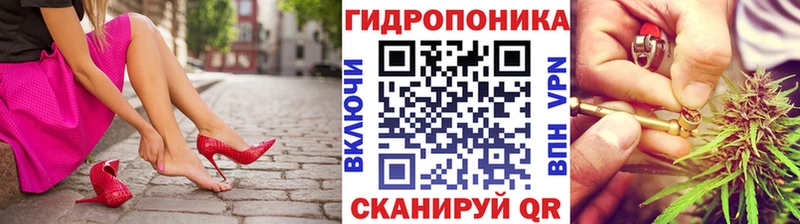 Купить закладки  Сасово  Марихуана сатива 